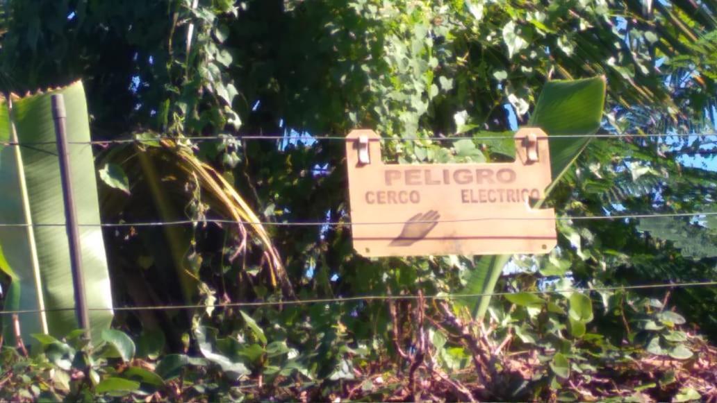 Casa Flamingo Βίλα Las Terrenas Εξωτερικό φωτογραφία