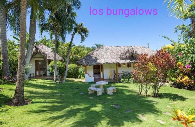 Casa Flamingo Βίλα Las Terrenas Εξωτερικό φωτογραφία