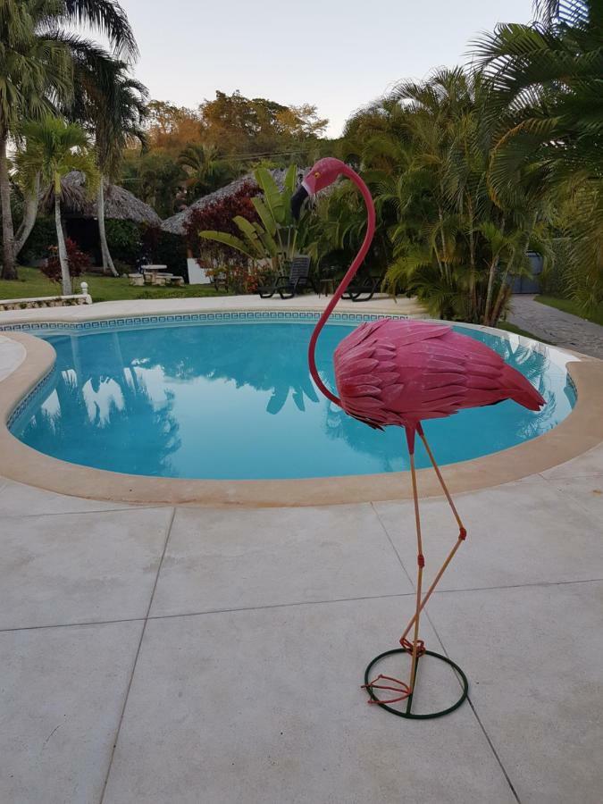 Casa Flamingo Βίλα Las Terrenas Εξωτερικό φωτογραφία