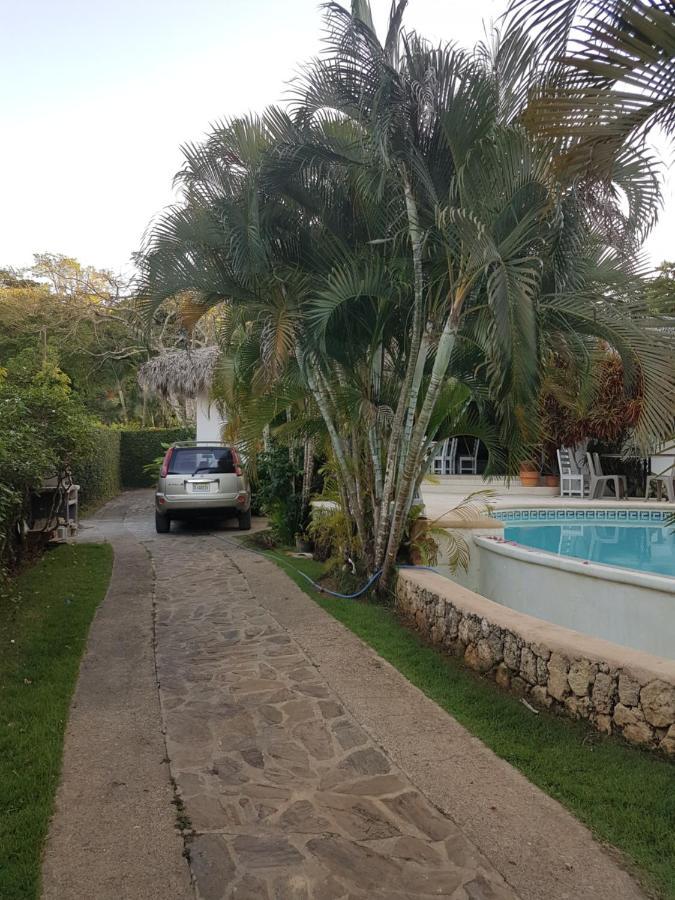 Casa Flamingo Βίλα Las Terrenas Εξωτερικό φωτογραφία